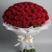 Букет 101 Красная роза Блэк Мэджик #REPLACE_PRED# Левашах