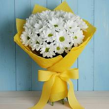 Букет цветов из:  Хризантемы в Левашах