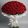 Букет 101 Красная роза Блэк Мэджик в Левашах