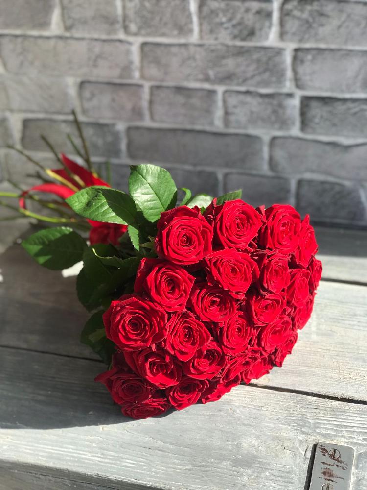 Букет Красные розы Фридом в Левашах