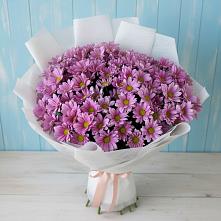 Букет цветов из:  Хризантемы в Левашах