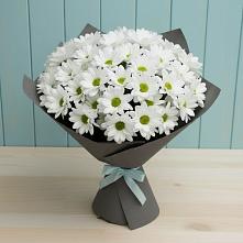 Букет цветов из:  Хризантемы #REPLACE_PRED# Левашах