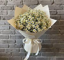 Букет цветов из:  Ромашки в Левашах