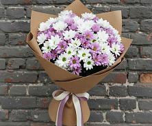 Букет цветов из:  Хризантемы в Левашах