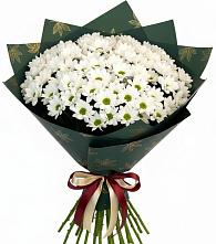 Букет цветов из:  Хризантемы в Левашах