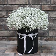 Цветочная композиция из Гипсофила в шляпной коробке в Левашах