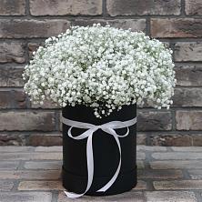 Цветочная композиция из Гипсофила в шляпной коробке в Левашах