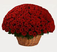 Премиум букет из: Розы в Левашах