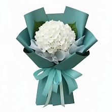 Букет цветов из:  Гортензия в Левашах